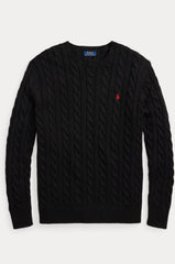 Ralph Lauren Polo Sweater(Representative)