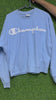 Champion Fleece Jackets(0003)